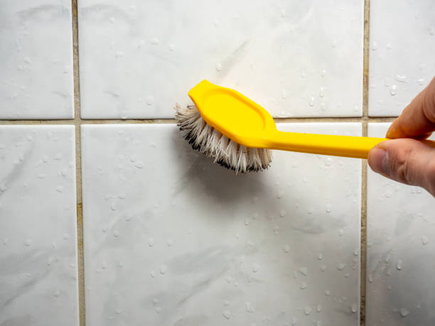Trusted Upper Fruitland, NM Mold Removal Experts