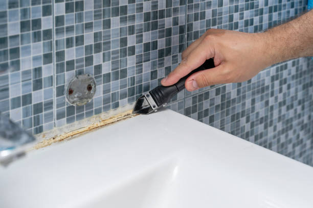 Mold Removal and Inspection in Upper Fruitland, NM